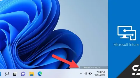 DesktopInfo Intune