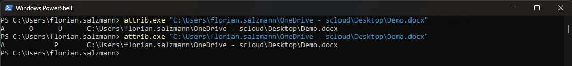 attrib.exe File