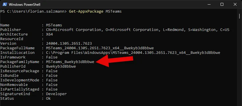 Get Windows App Infos