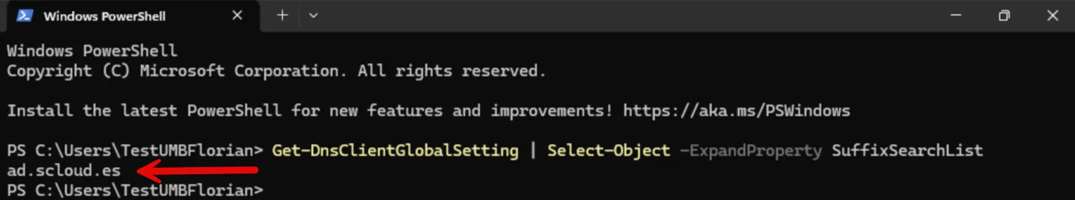 Verify the DNS suffix search list with PowerShell