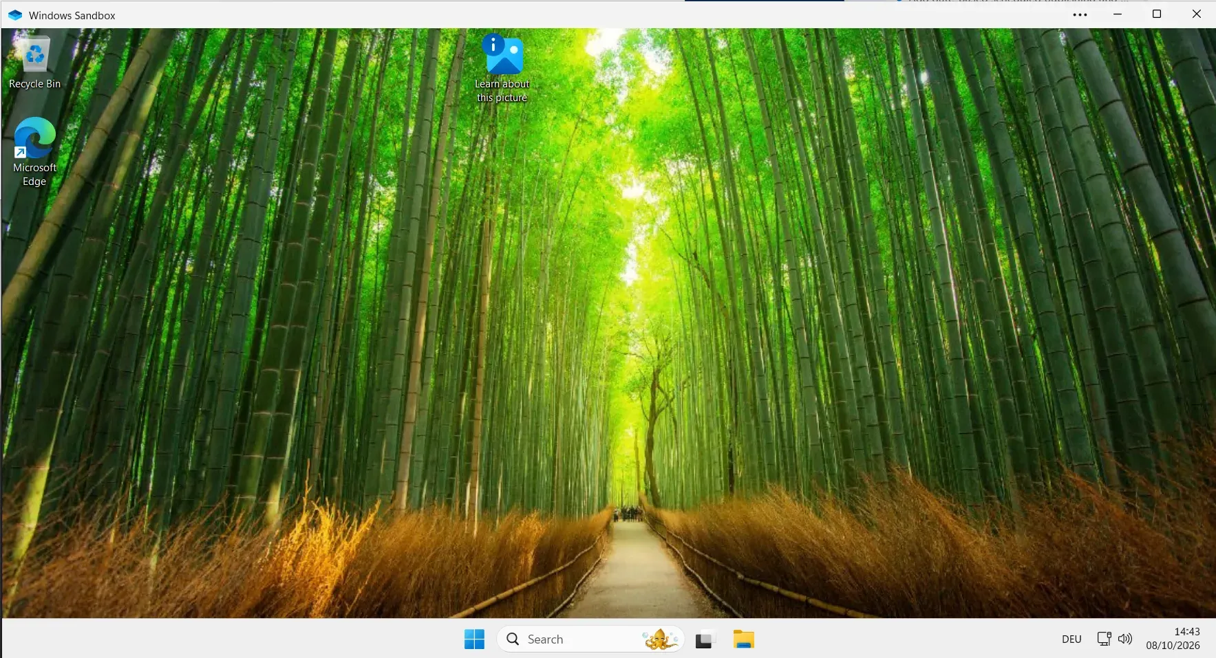 Freshly launched, empty Windows Sandbox desktop